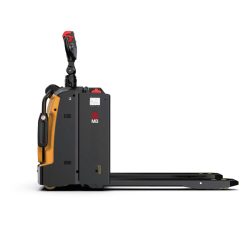 Alternative view of RPL20 PRO